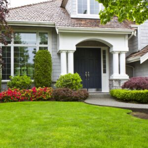 Grass Planting Supplies