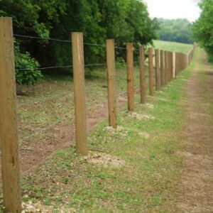 Fencing Posts (4-5" & 5-6" Sizes)