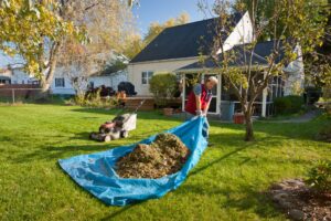 Lawn & Garden