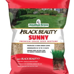 front of black beauty sunny grass seed product bag