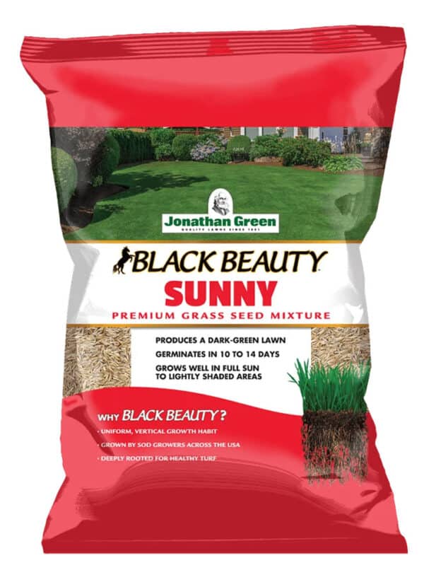 front of black beauty sunny grass seed product bag