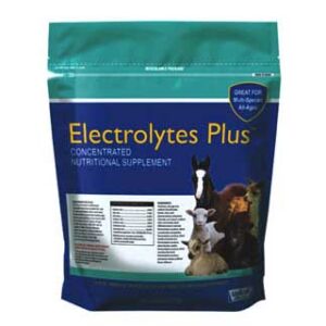 Electrolytes Plus, Multi-species Nutritional Supplement, 6lb
