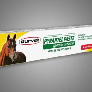 Pyrantel Horse Dewormer Paste 23.6 g