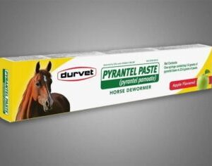 Pyrantel Horse Dewormer Paste 23.6 g