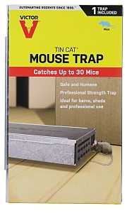 Victor live catch mouse trap