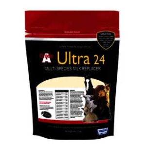 Milk Replacer Multi Species 4 lb
