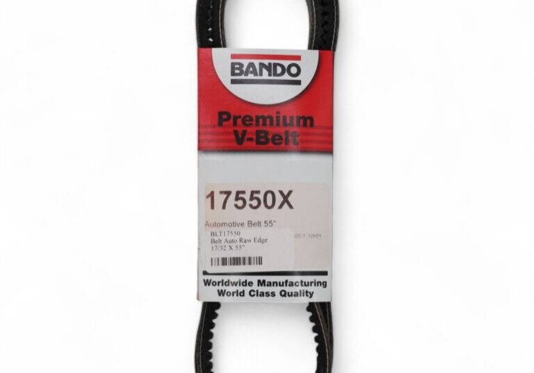 17-32-in-x-55-in-Belt (2)