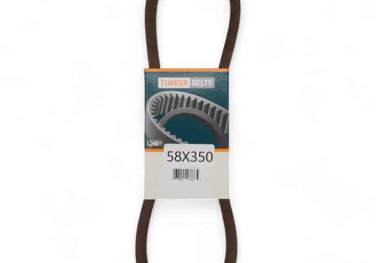 58 in x 35 In Belt (2)